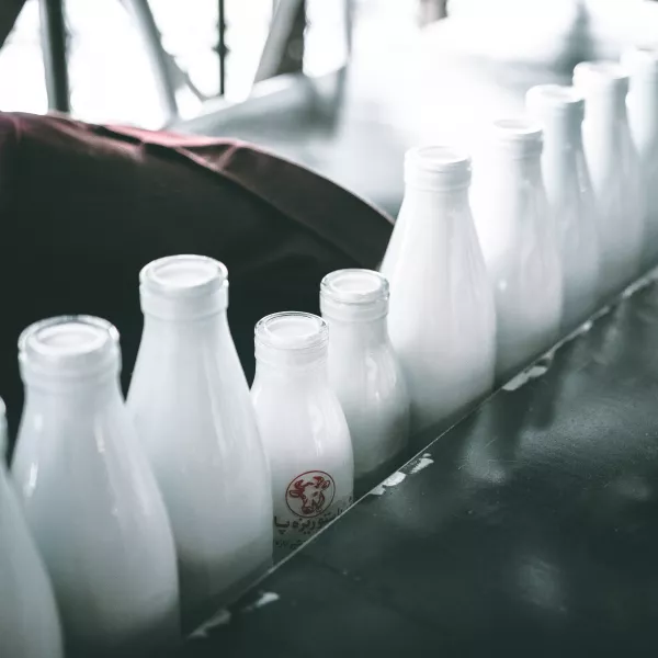 Упаковку Tetra Rex для амурского молока начали поставлять из Китая 